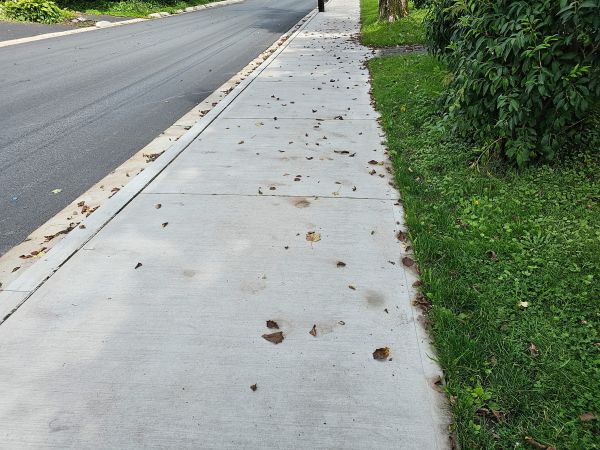 Cost of Sidewalk Renovation in Poughkeepsie